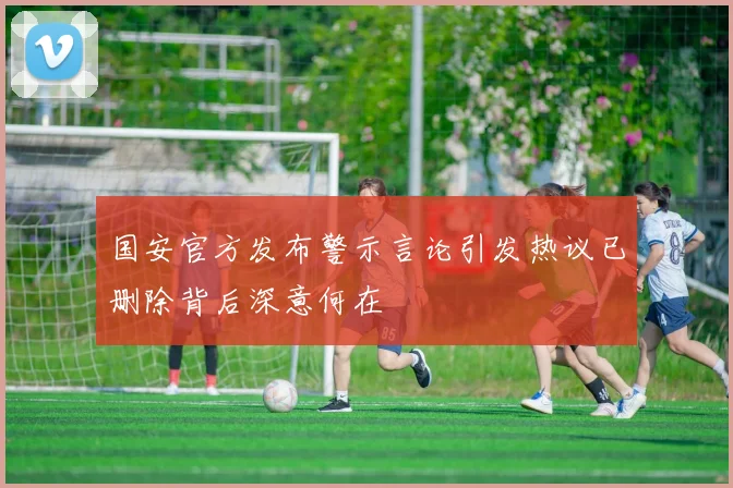 国安官方发布警示言论引发热议已删除背后深意何在